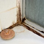 "photo of moldy mildewed caulking in shower"